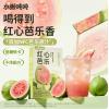 H-水獭吨吨红心芭乐鲜萃液复合果蔬汁饮料N