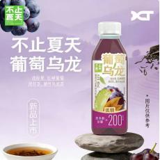 H-不止夏天葡萄乌龙果味茶饮品