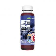 H-成分日记蓝莓多多叶黄素酯蓝莓果汁饮