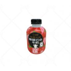 PET瓶海河味...