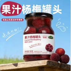 H-绿山果园果汁杨梅罐头